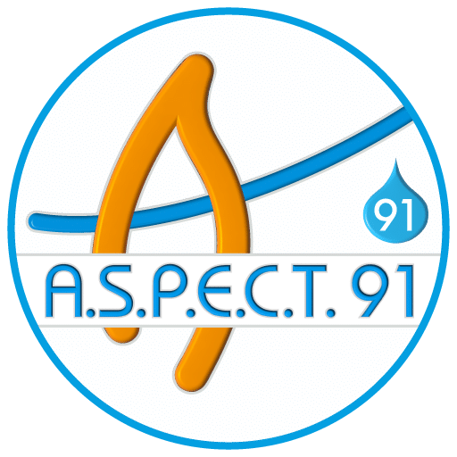 ASPECT 91 Logo